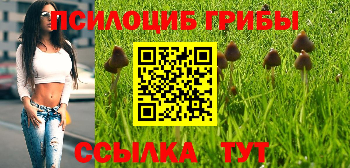 Псилоцибиновые грибы мицелий Малгобек