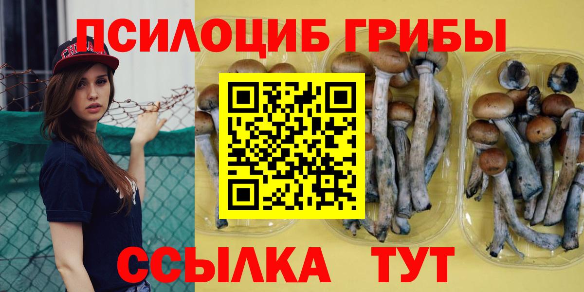 Галлюциногенные грибы ЛСД  Галлюциногенные грибы ЛСД  Малгобек  Вход с VPN 
